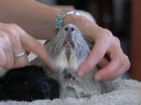 2023-01-25 Suzy and Harriet.jpg